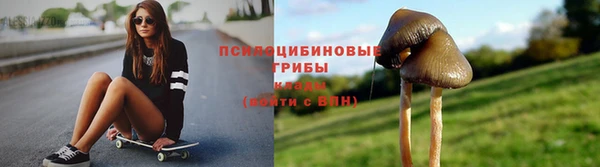 тгк Белокуриха