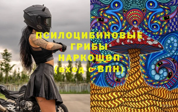 спайс Беломорск