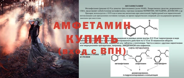 спайс Беломорск