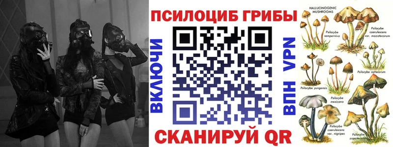 что такое наркотик  Зарайск  Галлюциногенные грибы прущие грибы 